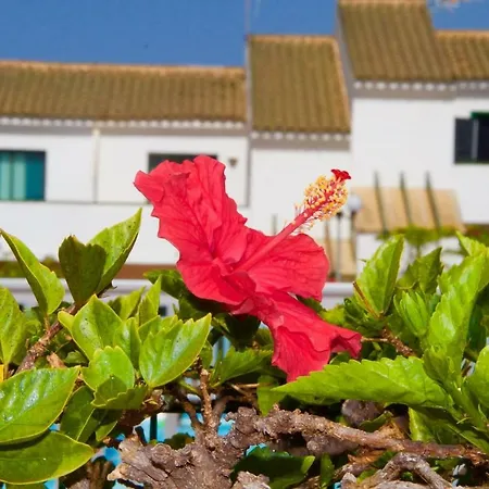 T&t Relaxing Bungalow In Sonnenland Apartment San Bartolome de Tirajana (Gran Canaria)